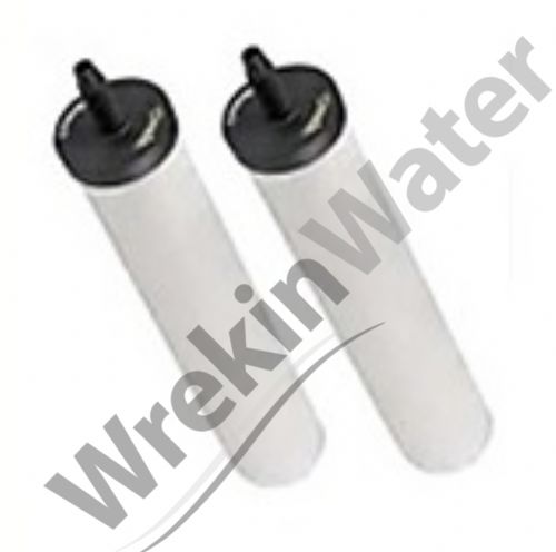 ATC Super Sterasyl Replacement Water Filters for Gravity Systems W9121215